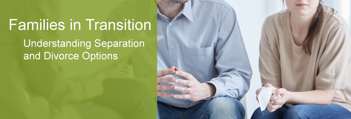 FamiliesInTransition